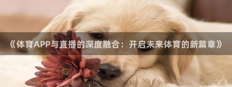 《体育APP与直播的深度融合：开启未来体育的新篇章》