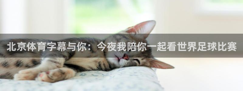 北京体育字幕与你：今夜我陪你一起看世界足球比赛