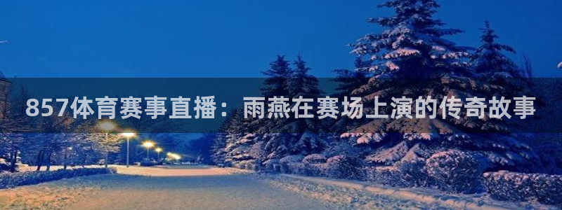 857体育赛事直播：雨燕在赛场上演的传奇故事