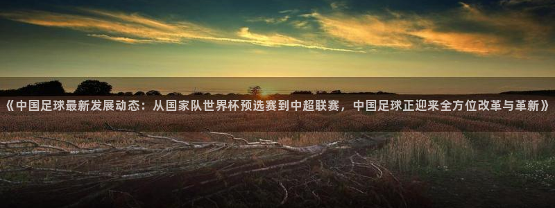 《中国足球最新发展动态：从国家队世界杯预选赛到中超联赛，中国足球正迎来全方位改革与革新》