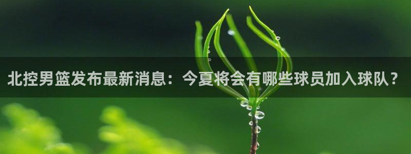 北控男篮发布最新消息：今夏将会有哪些球员加入球队？
